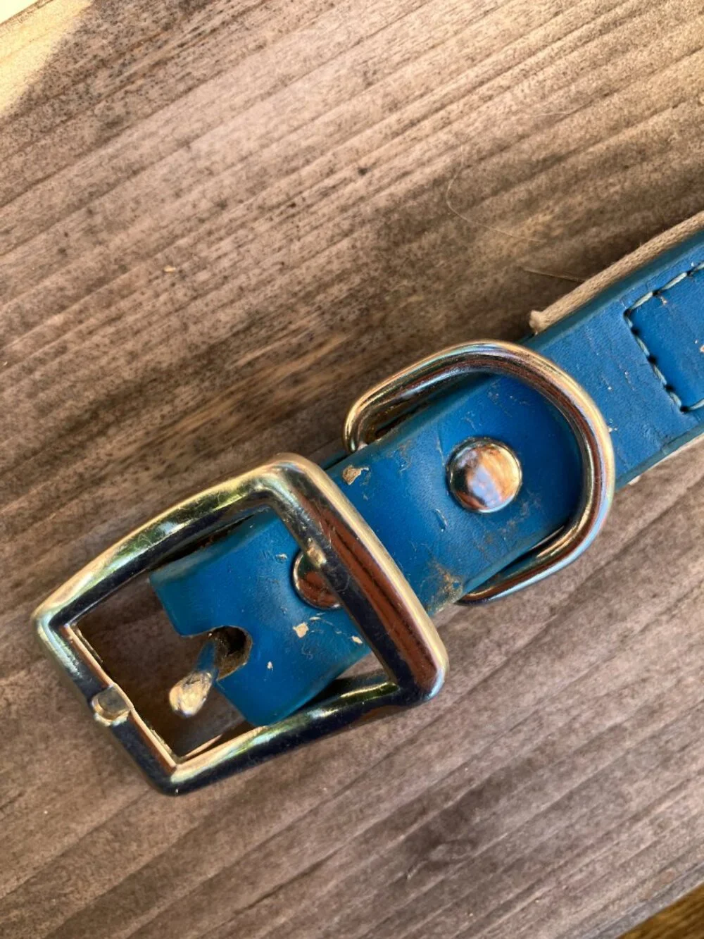 🐶💙 Blue Leather Studded Dog Collar | Silver Bone Studs | Thick Padded Collar |